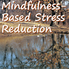 Mindfulness-Based Stress Reduction at Prairiewoods (in person)