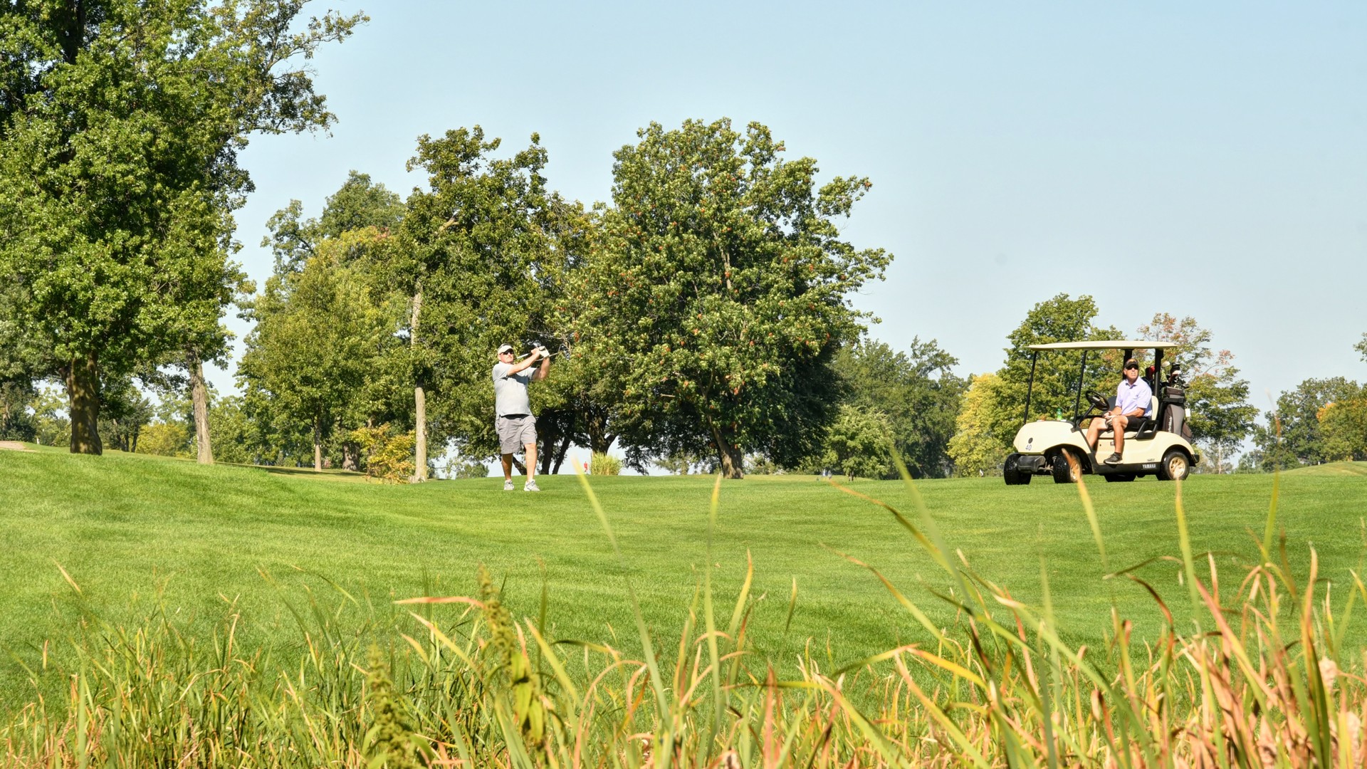 Ellis Park Golf Course Cedar Rapids Tourism
