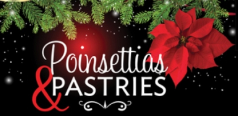 Poinsettias and Pastries