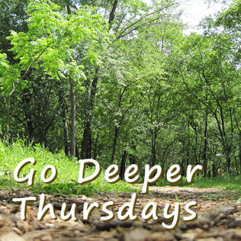 <p>Go Deeper Thursdays is an ongoing personal exploration and deepening in community. This online group began during the pandemic as an opportunity to be in community while physically isolated.</p>