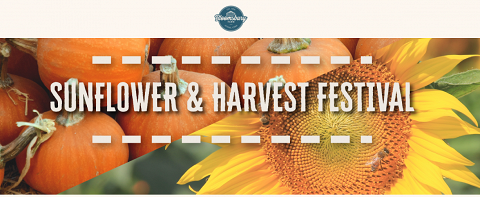 <p>Come out to Bloomsbury Farm to enjoy our Fall Festivals!</p>