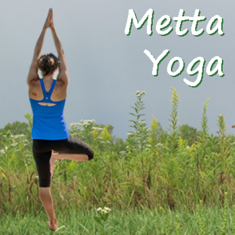 <p>Experience the healing powers of meditative yoga from the spiritual environment and natural beauty of Prairiewoods (120 East Boyson Road in Hiawatha).</p>