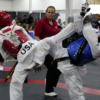 <p>Welcome the 2023 USA Taekwondo Grand Prix Central Event to the City of Cedar Rapids and the Alliant Energy Powerhouse June 9th-11th.</p>